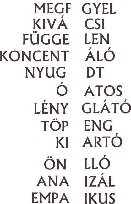Introvertált típus